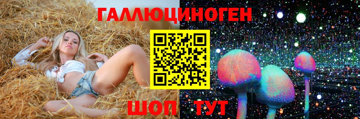 Псилоцибиновые грибы Psilocybine cubensis  Вход с VPN  Пугачёв  Псилоцибиновые грибы Psilocybine cubensis 